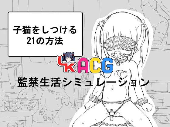 调教小猫的21种方法